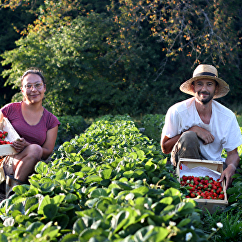 Visite d'une exploitation de fruits bio - Le Champ des Gourmands - ROULANS