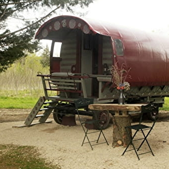 Roulotte irlandaise Polly - Au Jardin de la Vouivre - SAINT-VINCENT-EN-BRESSE
