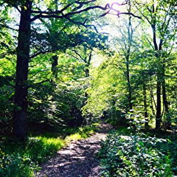 Au cœur de Thomasse - POUILLOUX