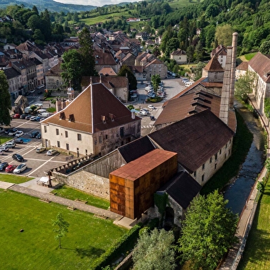 Les rendez-vous scientifiques: une journée qui croise patrimoine industriel et histoire scientifique autour d’une question concrète : comment conserver et protéger les aliments ?  De la production du sel à la Grande Saline aux découvertes de Louis Pasteur