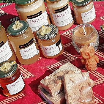 Miel de Bragny - BRAGNY-SUR-SAONE