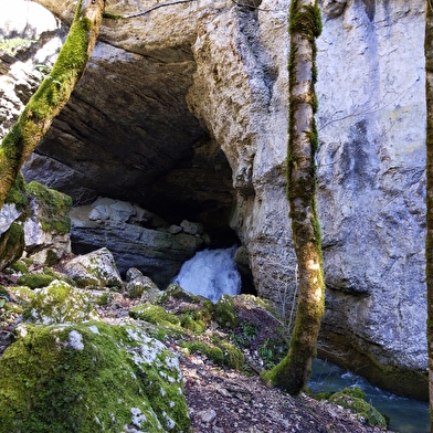 Sentier Courbet 4 : La Source de la Loue et sa vallée