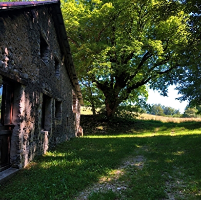 Parcours trail : Chanduraz depuis Chavornay
