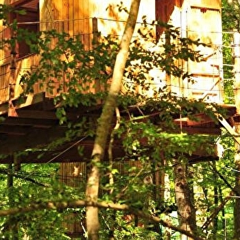 Cabanes dans les arbres - MONT-SOUS-VAUDREY