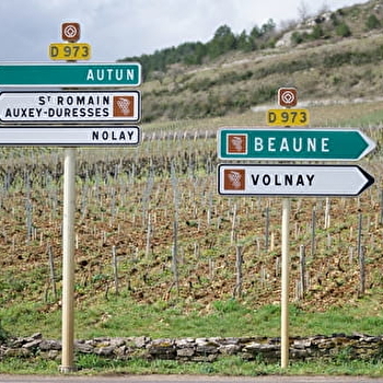 Circuit 'à la découverte de la gastronomie Bourguignonne'  - COUCHES