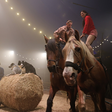 Spectacle équestre de l'été  'Zusamenn'