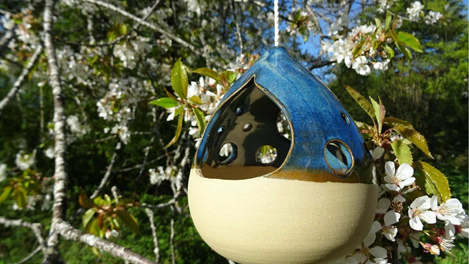 L'atelier de la Barbastelle