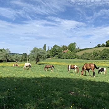 Ferme des Fontaines - OUANNE