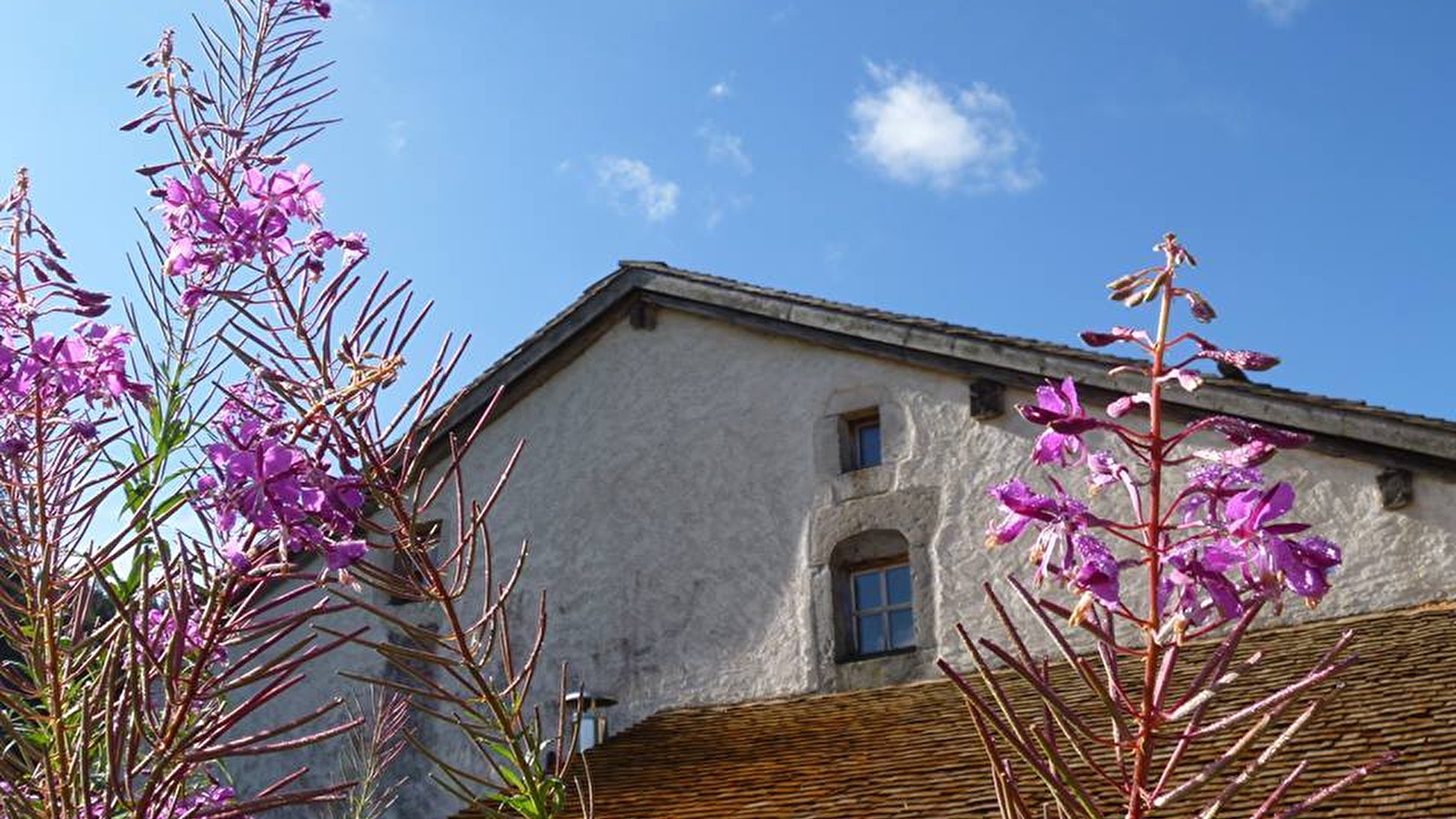 Et si nous parlions des femmes ?