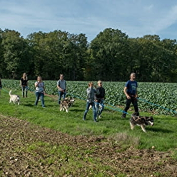 Randonnée insolite de Canimoov - Dixmont