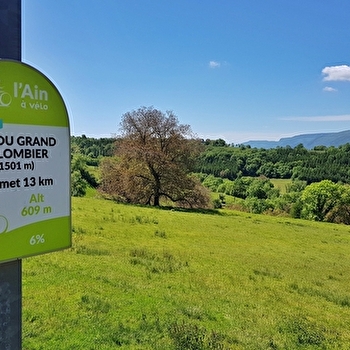 Circuit vélo : Le Grand Colombier et le col de la Biche depuis les Plans d'Hotonnes - HAUT VALROMEY