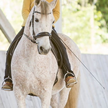 Les Chevaux de Beltane - PAGNOZ