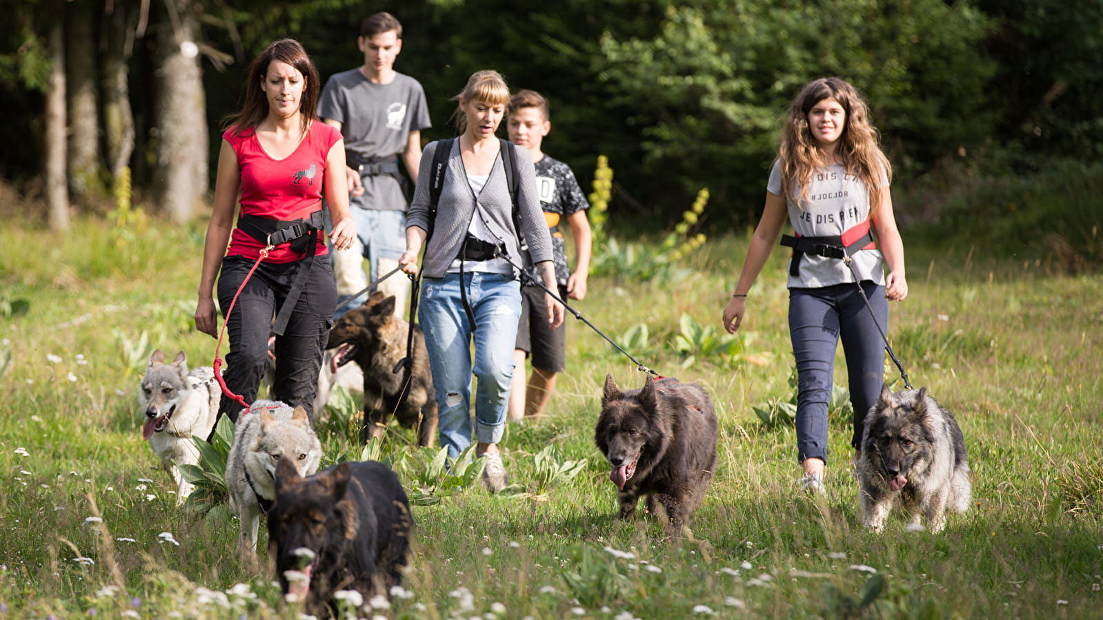 La Légende du Loup Noir