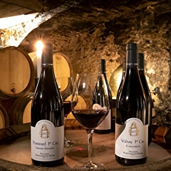 Rebourgeon-Mure - POMMARD