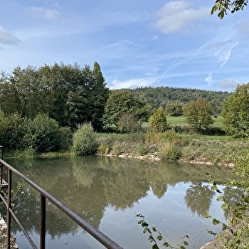 Les Afforêts - BURNAND