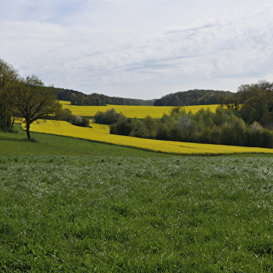 La tournée des 3 Rois
