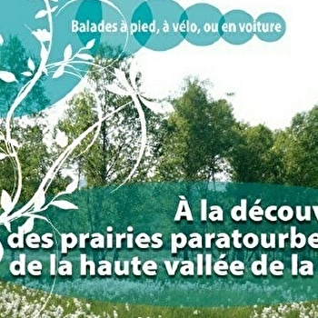 A la découverte des prairies paratourbeuses de la haute vallée de la Cure  - MONTSAUCHE-LES-SETTONS