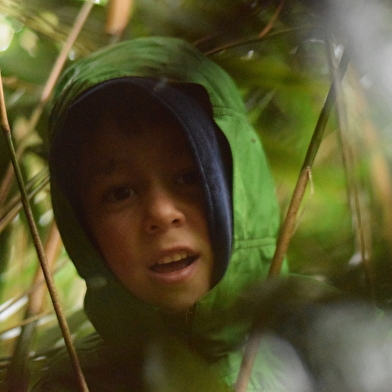La butte aux orchidées