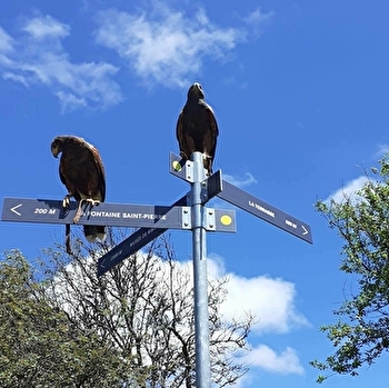 L'Echappée Morvan d'Ailes - Rando en liberté - LA COMELLE
