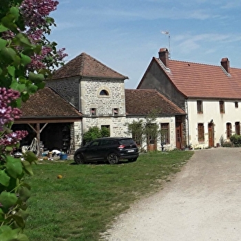 Les Clématites - MEILLY-SUR-ROUVRES