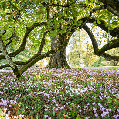 Ecuries du château de Chaumont en Charolais