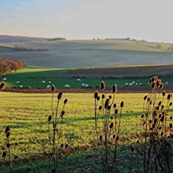 Circuit panoramique au départ de Bouhy  - BOUHY