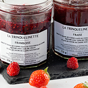 La Trinquelinette - SAINT-LEGER-VAUBAN