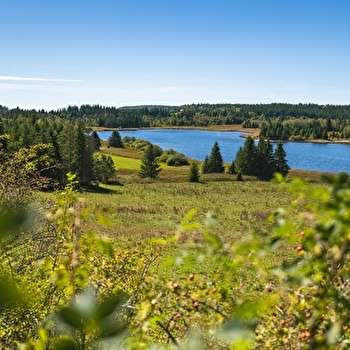Tour des Lacs - BELLEFONTAINE