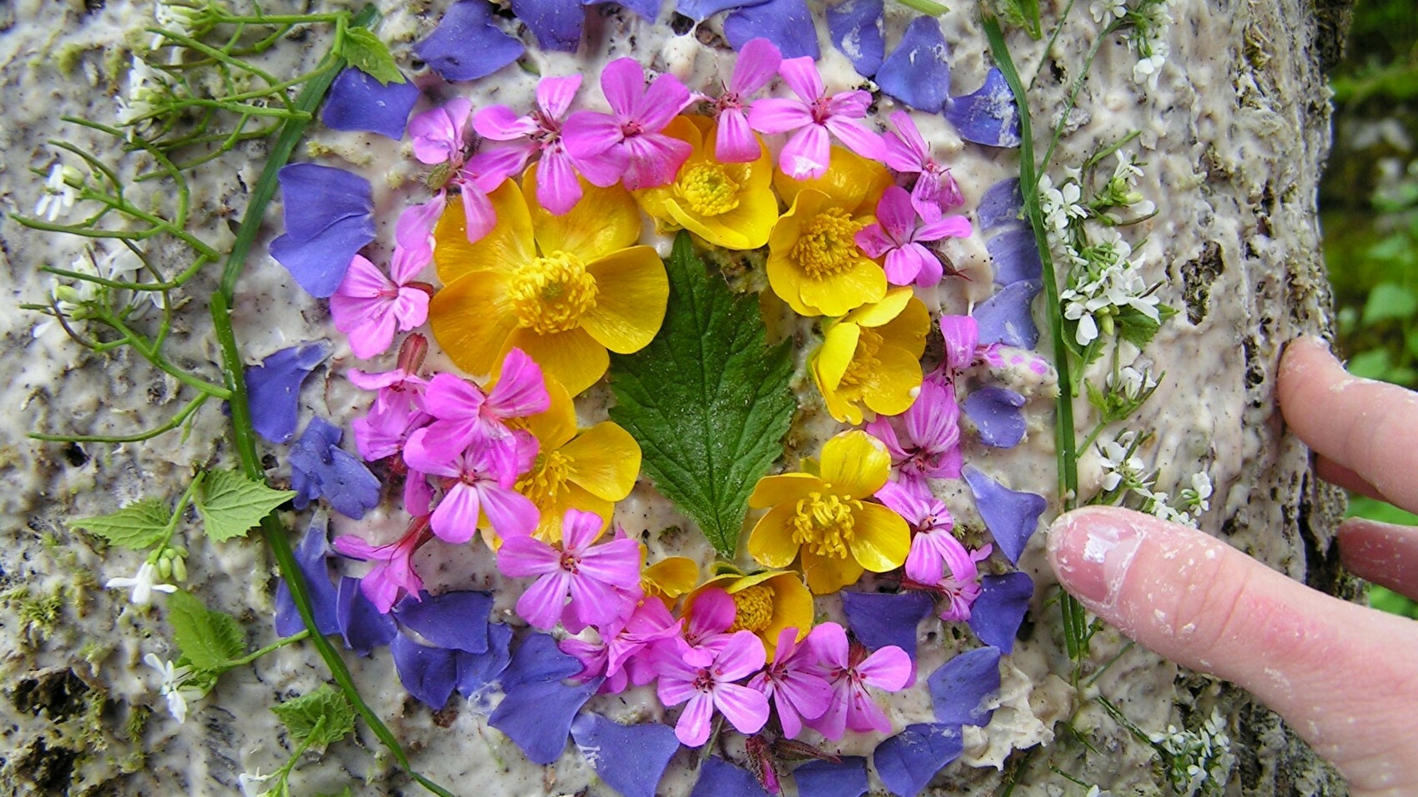 Classe verte dans les Montagnes du Jura