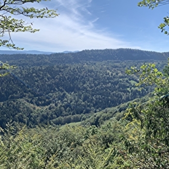 Randonnée - La Forêt de Niermes - OYONNAX
