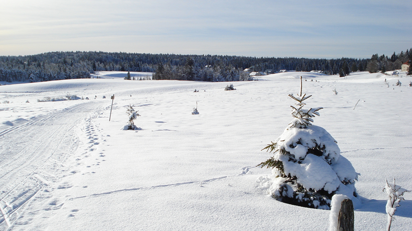 Site Nordique de Bellefontaine