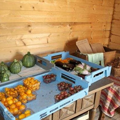 Les jardins de Saint-Germain 