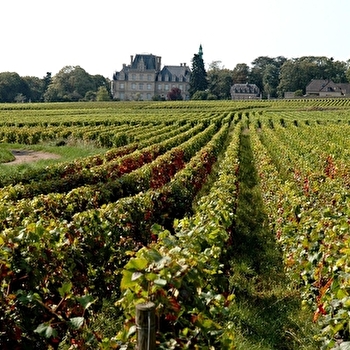 Sentier des deux 'Cent Marches' - BROCHON