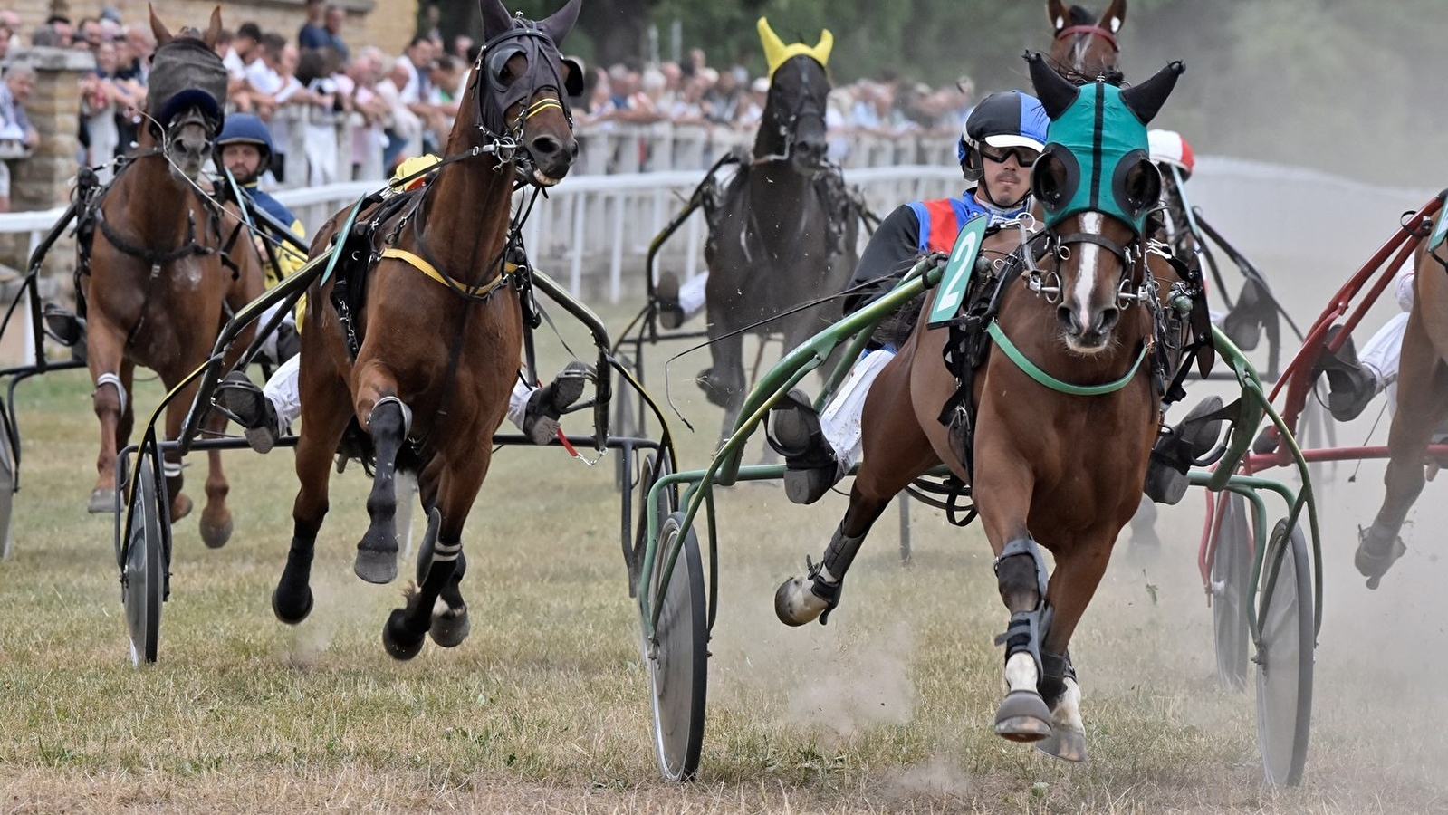 Courses hippiques - Trot