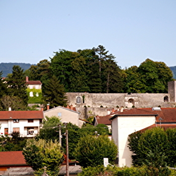 Sentier 'Le château - Avrillat' à Poncin - PONCIN