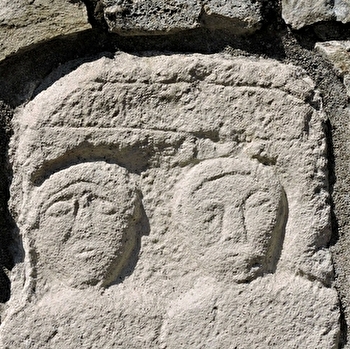 Le bois des Vignes - MARMAGNE