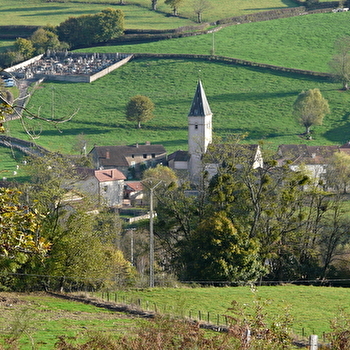 Bois des Combes - NAVOUR-SUR-GROSNE