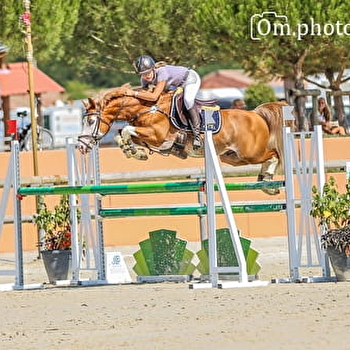 Centre équestre de Jussey - Elevage Kerveyer - JUSSEY