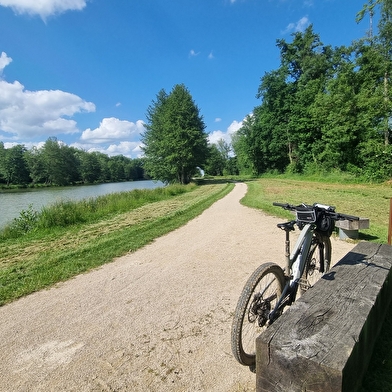 Liaison VTT-VTC (L6) St Trivier de Courtes - Plan d'eau de Mépillat