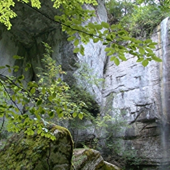 Ruisseau du Pissoux - PLAIMBOIS-DU-MIROIR