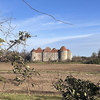 Près du château fort de La Motte-Josserand - PERROY