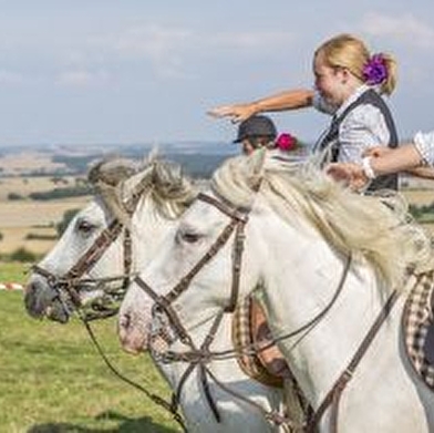 Centre équestre Camargue Equitation Loisirs en Nièvre
