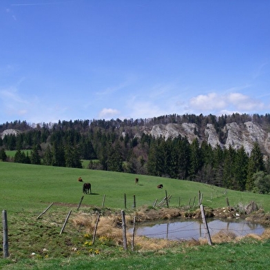 Rochers du Cerf