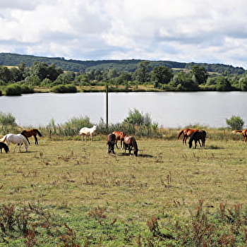 Le 9 Equin - GUEUGNON