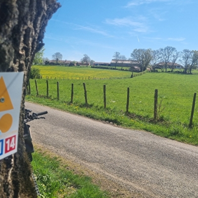 Circuit VTT-VTC n°11 (bleu) - Prairie de Jayat - Chartreuse de Montmerle