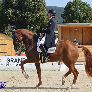 Concours Hippique - Grand National de dressage