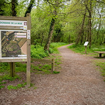Sentier de la nature du domaine de la Beue de Lépido le papillon - VARENNES-VAUZELLES