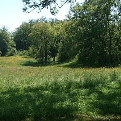 Didier MICHAUD - Le Moulin de Guigot