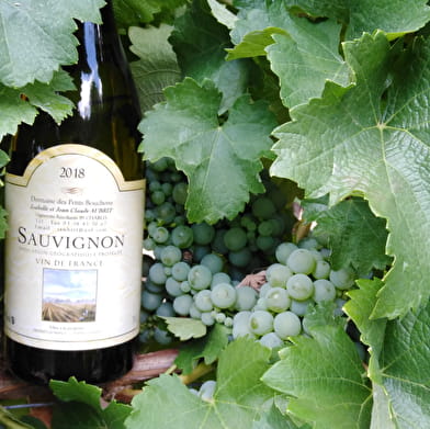 Domaine des Petits Bouchons