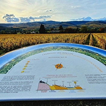 Table d'orientation - CHARNAY-LES-MACON